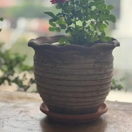 Διαμέρισμα Mani Spot Nezoulas *