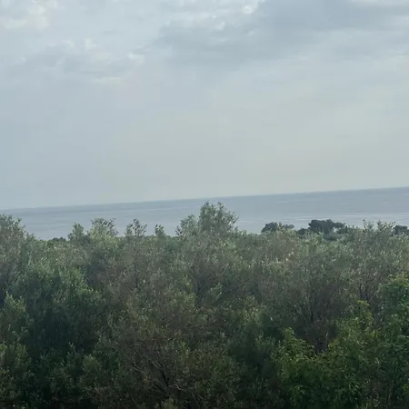 Mani Spot Nezoulas