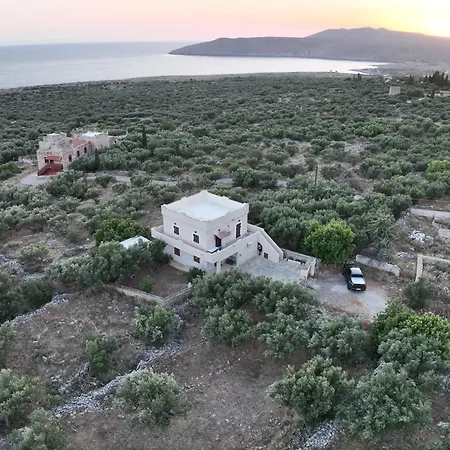 Daire Mani Spot Nezoulas Álika