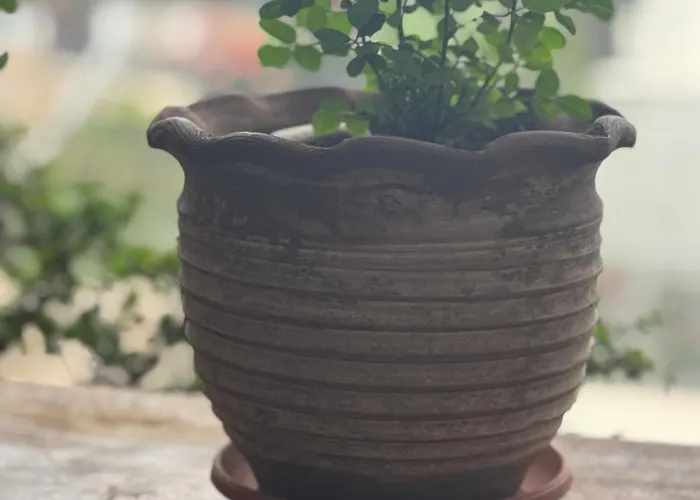 Apartman Mani Spot Nezoulas *