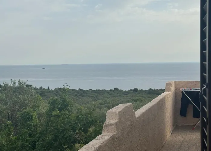 Mani Spot Nezoulas *