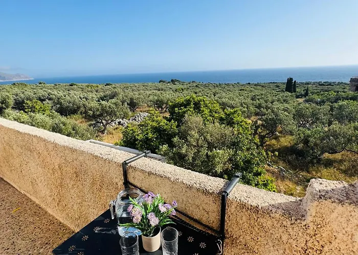 Mani Spot Nezoulas *